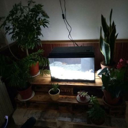 Hostal El Tropezon Matallana de Valmadrigal 외부 사진