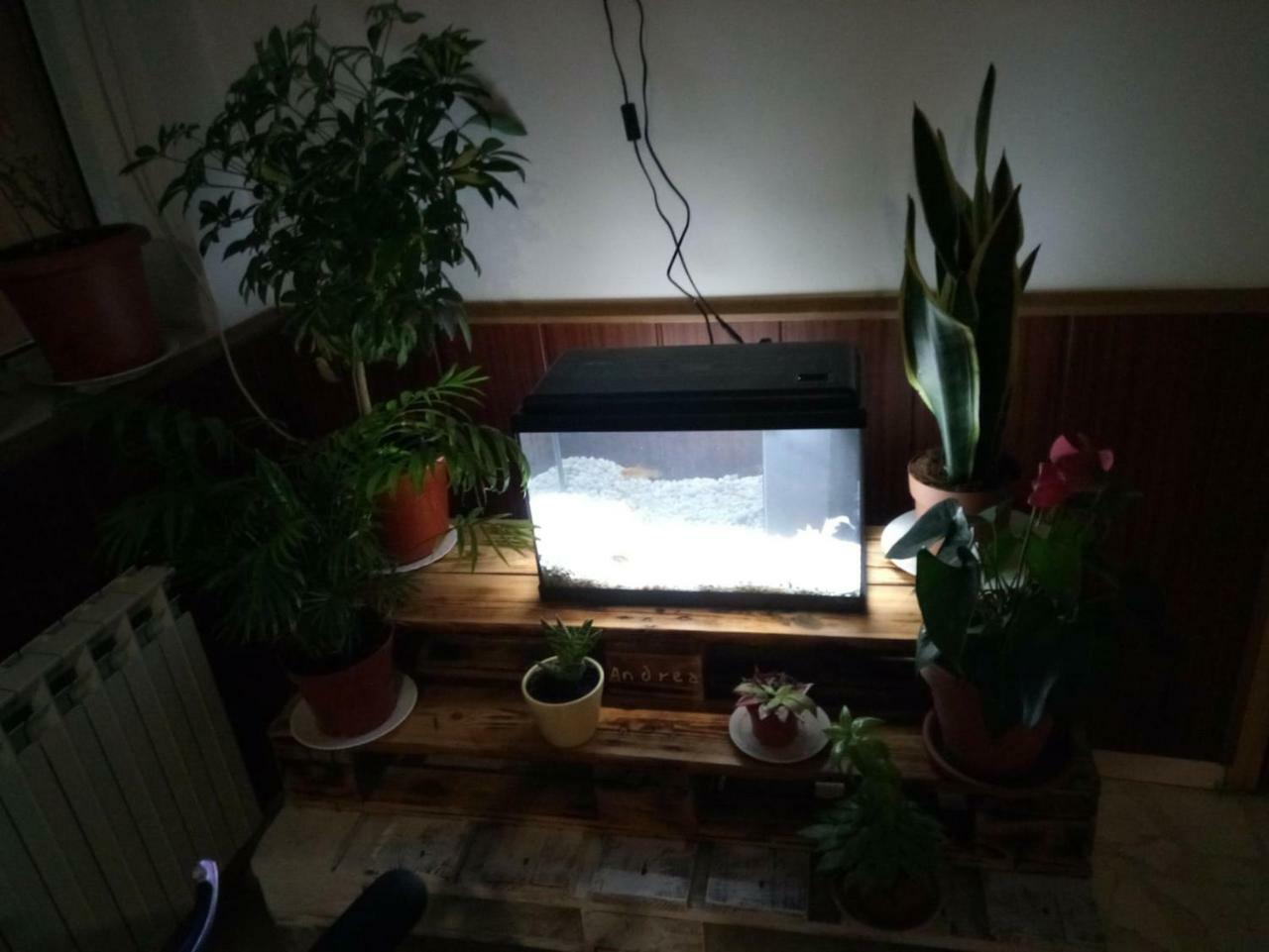Hostal El Tropezon Matallana de Valmadrigal 외부 사진