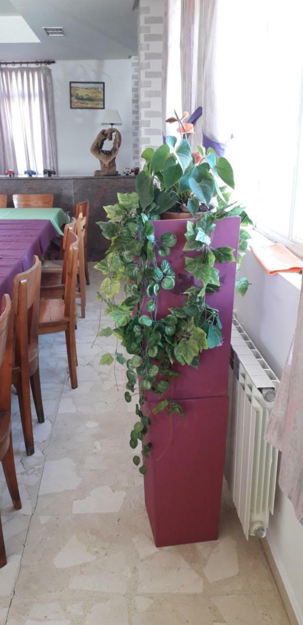Hostal El Tropezon Matallana de Valmadrigal 외부 사진